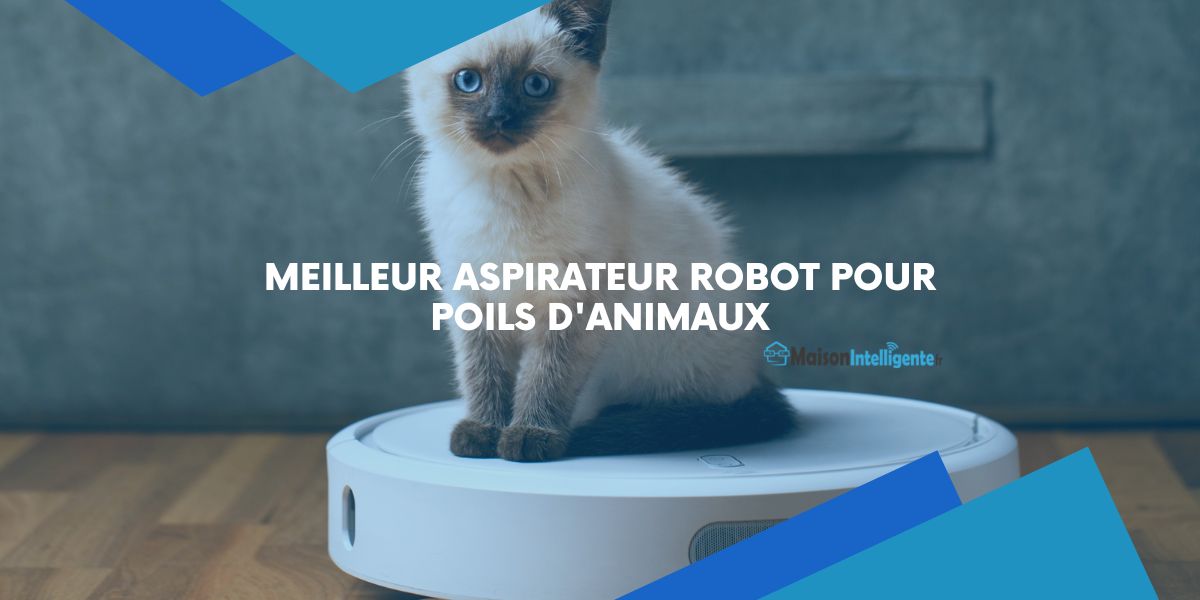 Meilleur Aspirateur Robot Pour Poils D'animaux